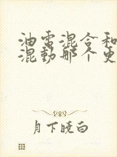 油电混合和插电混动那个更值得