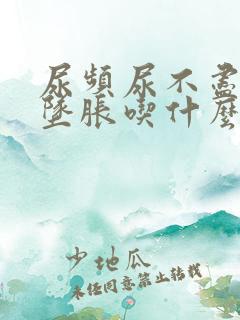 尿频尿不尽下腹坠胀吃什么药