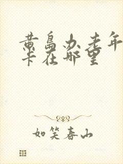 黄岛办老年乘车卡在哪里