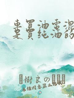 车买油电混动还是买纯油的好