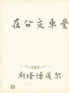 在公交车爱爱