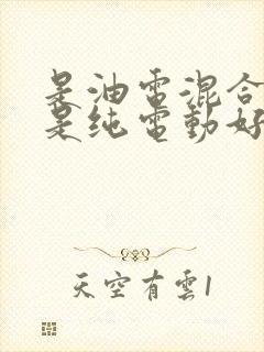 是油电混合好还是纯电动好