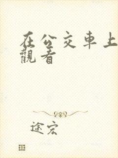 在公交车上在线观看