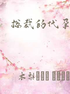 总裁的代孕女友
