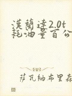 汉兰达2.0t耗油量百公里多少