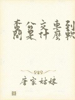 查公交车到站时间是什么软件
