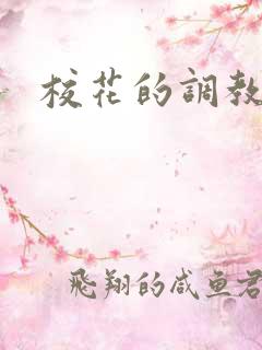 校花的调教小说