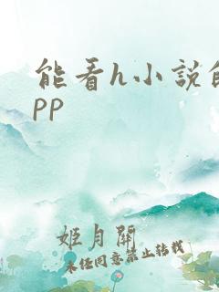能看h小说的app 能看h小说的app