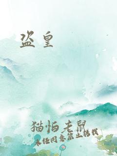 盗皇