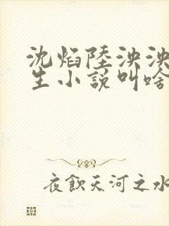 沈焰陆泱泱的重生小说叫啥