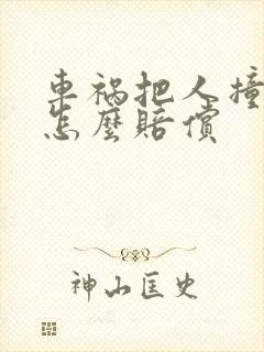 车祸把人撞死了怎么赔偿