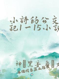 小诗的公交车日记1一15小说内容