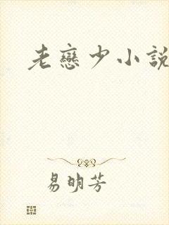 老恋少小说