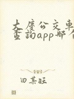大庆公交车实时查询app哪个好用