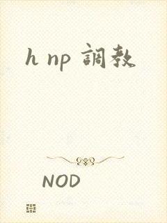 h np 调教