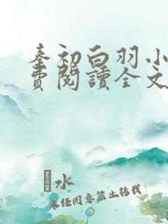 秦初白羽小说免费阅读全文无弹窗