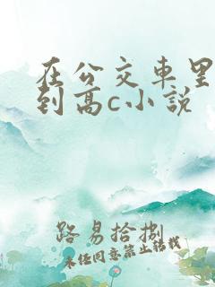 在公交车里c弄到高c小说