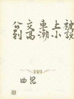 公交车上被人摸到高潮小说