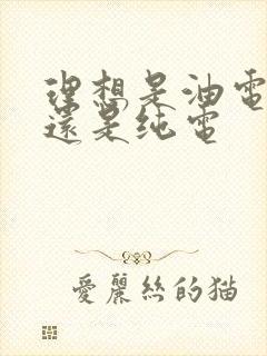 理想是油电混合还是纯电