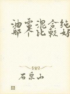 油电混合纯电车哪个比较好