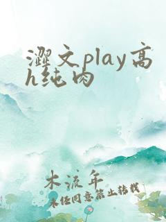 涩文play高h纯肉