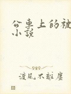 公车上的被调教小说