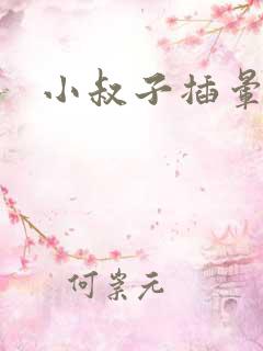 小叔子插晕我