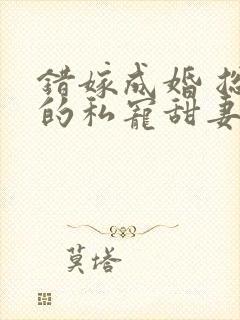 错嫁成婚 总裁的私宠甜妻