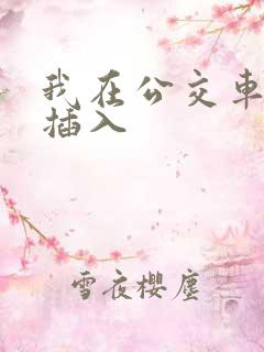 我在公交车上被插入