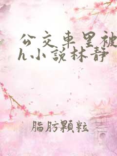 公交车里被挺进h小说林静
