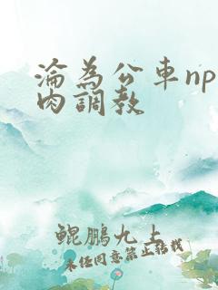 沦为公车np纯肉调教