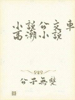 小说公交车被上高潮小说
