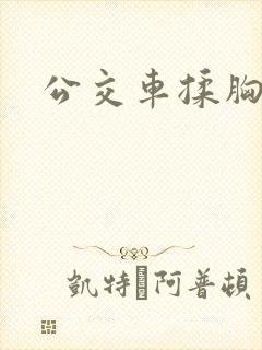 公交车揉胸小说