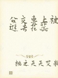 公交车上被强行进去花蕊