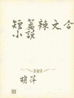 短篇辣文合集h小说