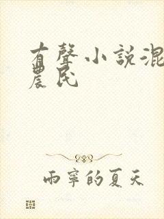 有声小说混世小农民