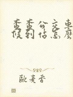 查查公交车啥时候到站怎么查
