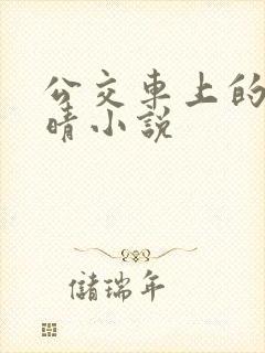 公交车上的诗请晴小说