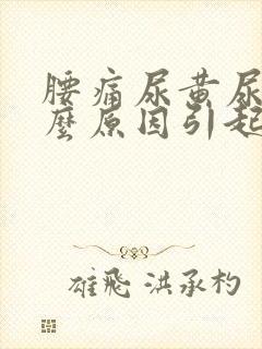腰痛尿黄尿臭什么原因引起的