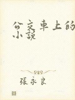 公交车上的刺激小说