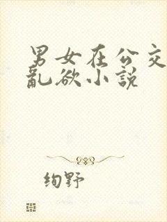 男女在公交车上乱欲小说