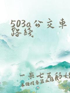 503a公交车路线