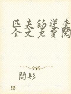 匹夫的逆袭小说全文免费阅读完整版