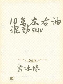 10万左右油电混动suv