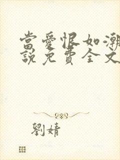 当爱恨如潮生小说免费全文