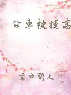 公车被摸高潮
