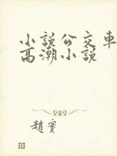 小说公交车被上高潮小说