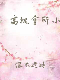 高级会所小说
