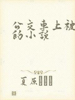 公交车上被插入的小说