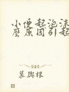 小便起泡沫是什么原因引起的